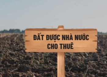Cá nhân có được quyền cho thuê lại đất của nhà nước cho thuê trả tiền thuê đất hàng năm không?