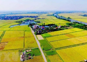 Những chi phí phải nộp khi xin chuyển mục đích sử dụng đất nông nghiệp sang đất ở 