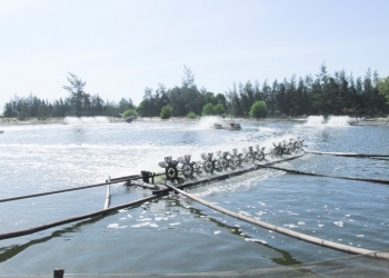 Thủ tục chuyển đổi đất nuôi trồng thuỷ sản sang đất ở