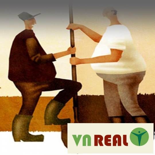 Sổ đỏ sai số liệu thì có được tách thửa không? 