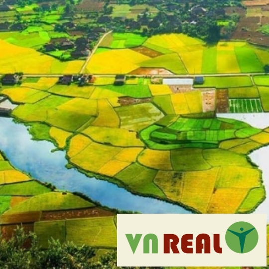 Mua trúng đất bị thu hồi phải xử lý như thế nào?