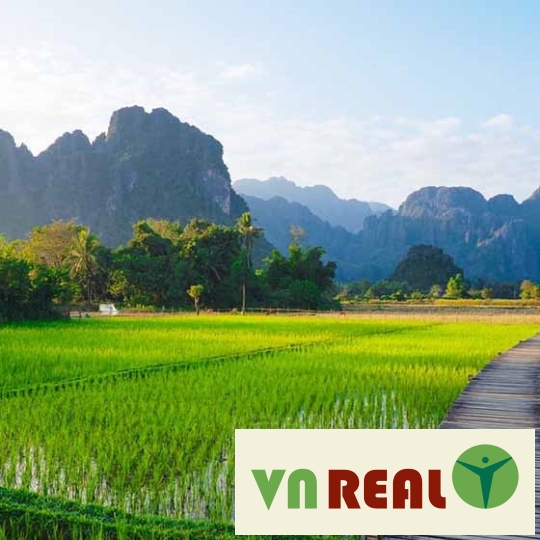 Thủ tục chuyển loại đất nông nghiệp trồng cây hàng năm sang loại đất nông nghiệp khác