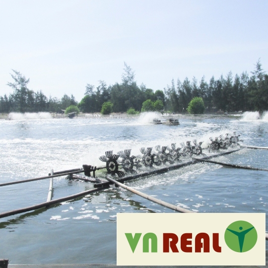Thủ tục chuyển đổi đất nuôi trồng thuỷ sản sang đất ở
